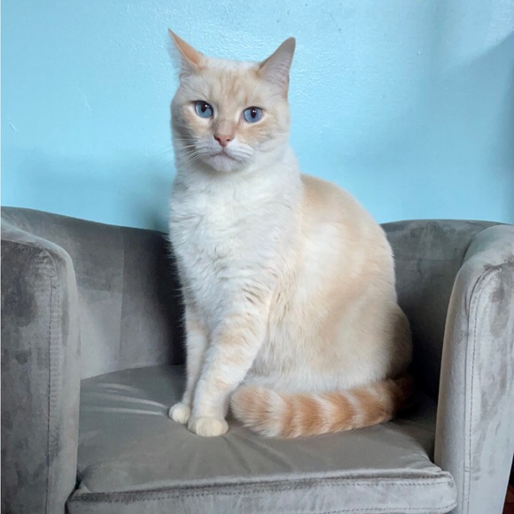 Meet your Posher, Shannon - Picture 3 of 3